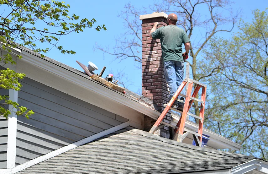 Chimney & Fireplace Inspections Services in Lansing, IL